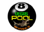 Vegas Pool Sharks